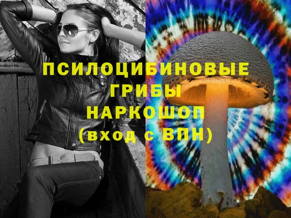эйфоретик Алексин