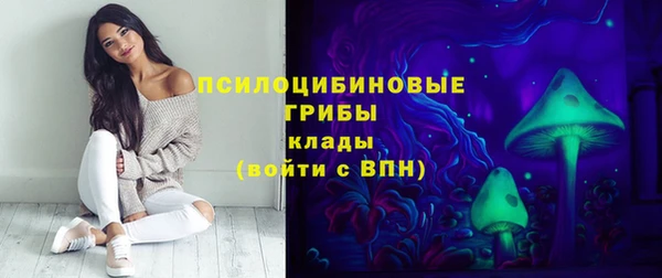 эйфоретик Алексин