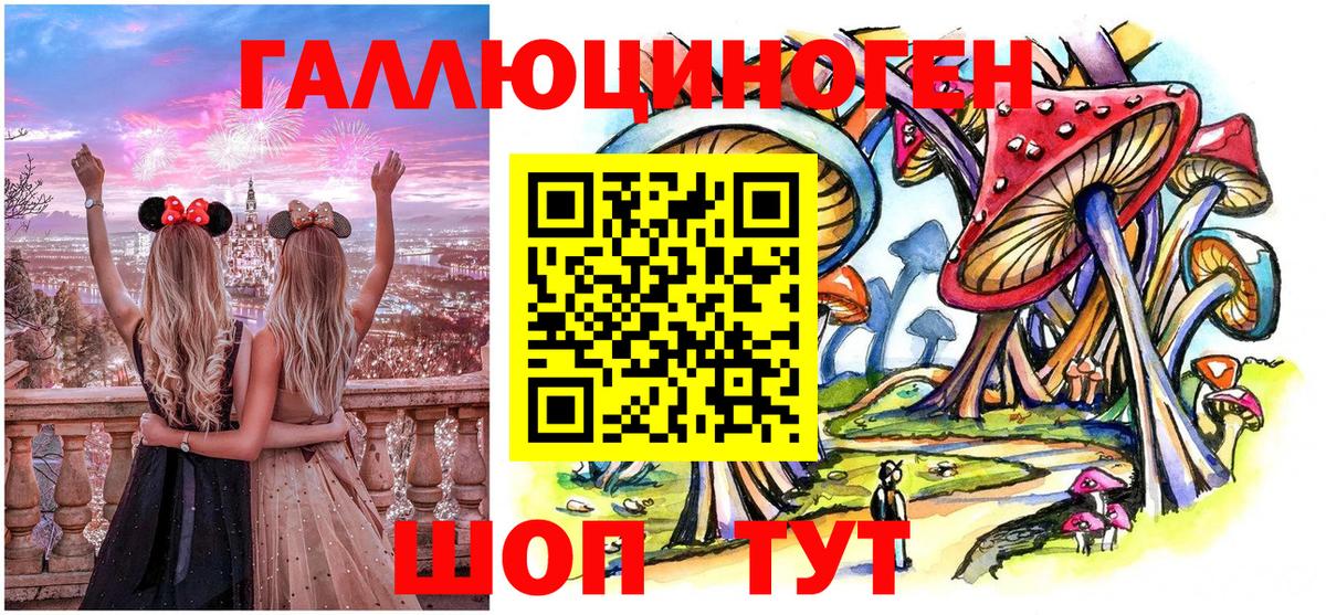 Галлюциногенные грибы Psilocybe Грязи