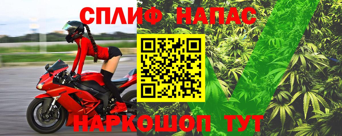 Конопля сатива  Вход с VPN  Грязи  Бошки Шишки сатива  Бошки Шишки индика  Бошки марихуана план 